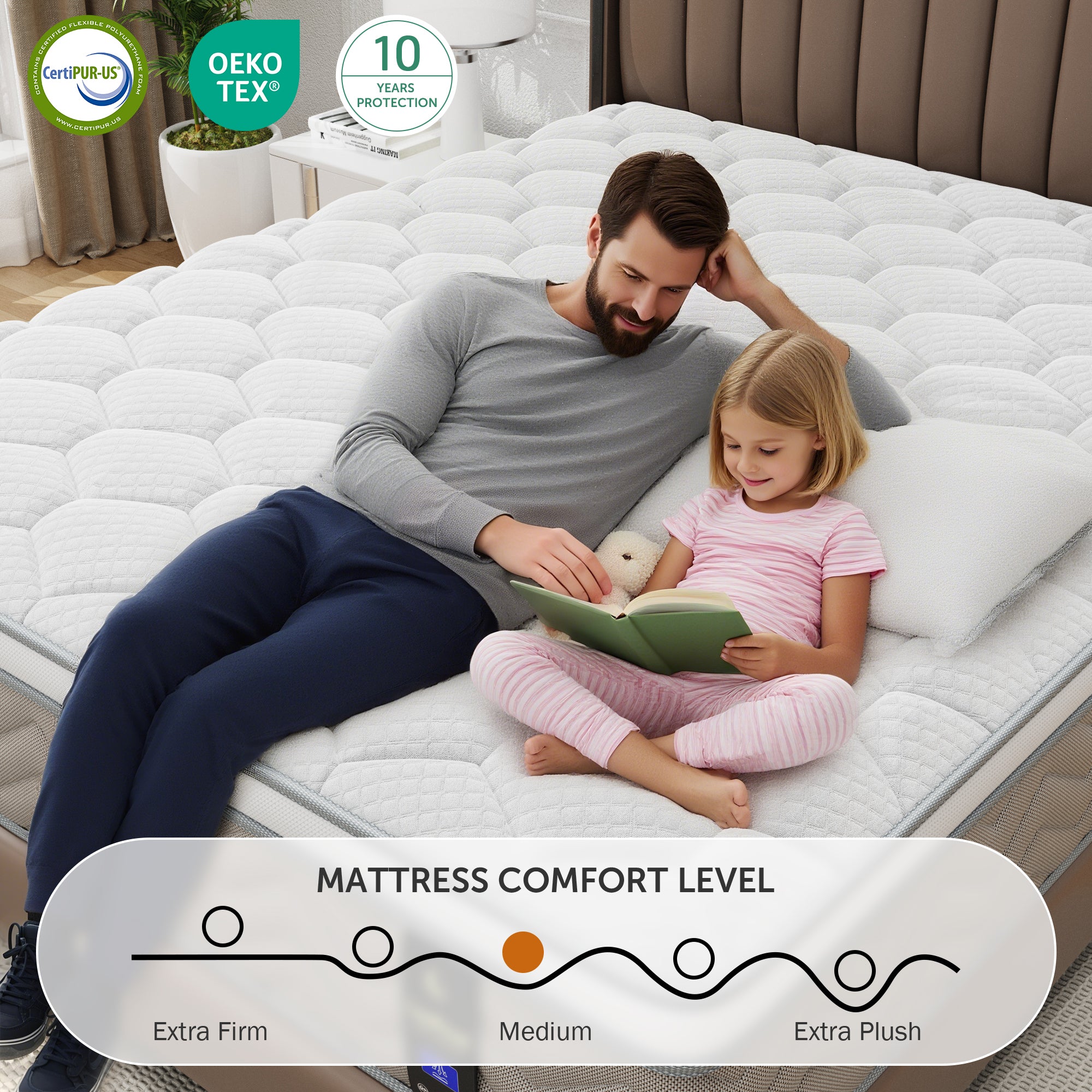 Queen Mattress, Holaki 12 Inch Queen Gel Memory Foam Hybrid Mattress in a Box, Upgrade Individually Pocket Springs, Medium Firm, Pressure Relief, Breathable Comfort and Durable, CertiPUR-US, Brown